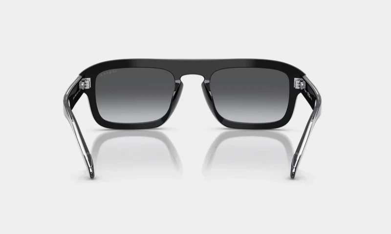 VO5620S  #Polar 4
