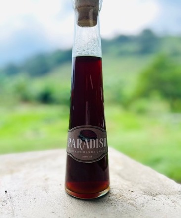 Destilado de cacao PARADISO x 300 ml