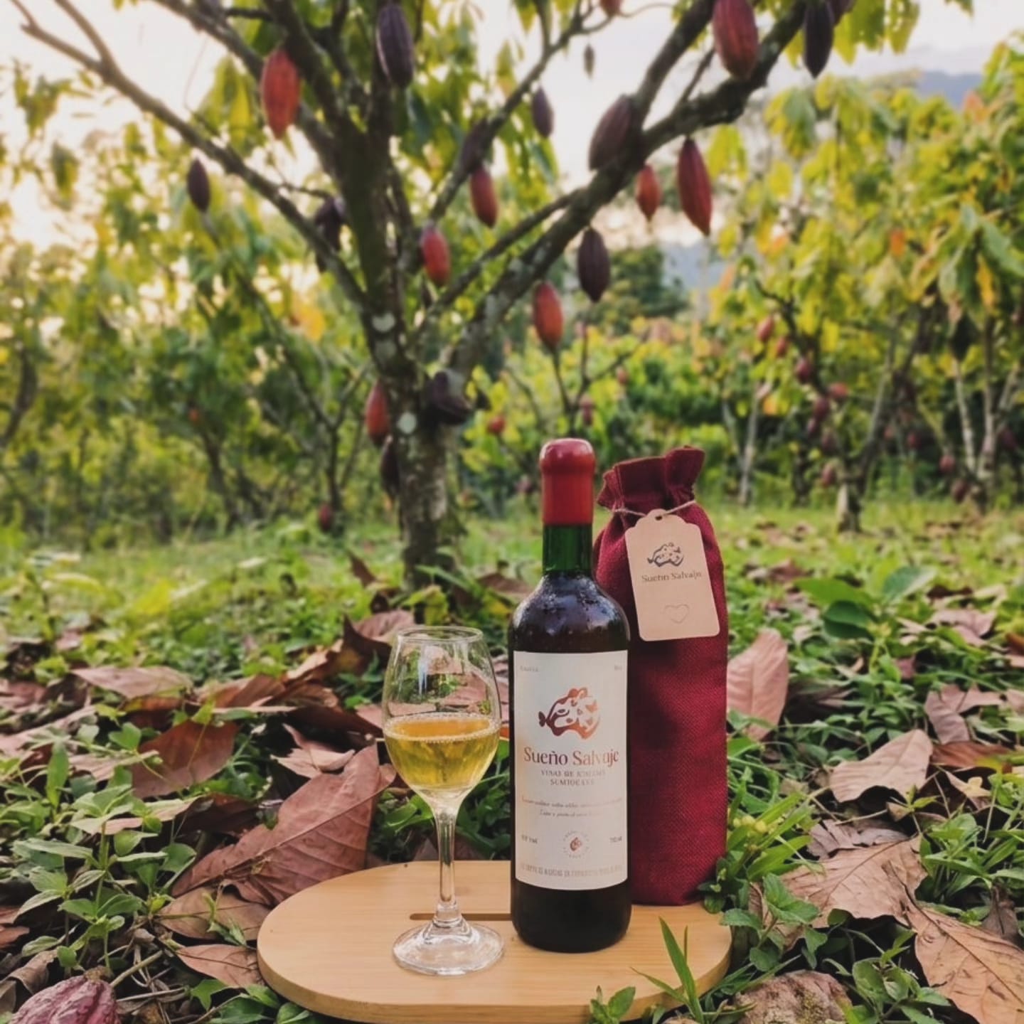 Vino de mucilago de cacao x 375 ml