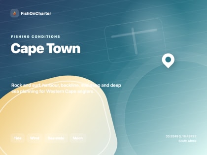 Fishing Charters in Cape Town