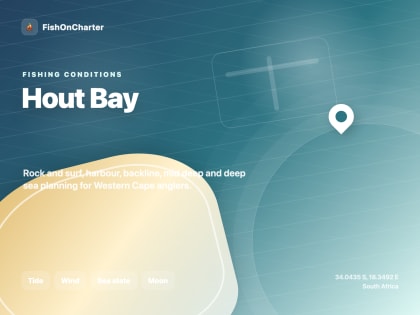 Fishing Charters in Hout Bay