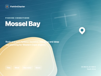 Fishing Charters in Mossel Bay