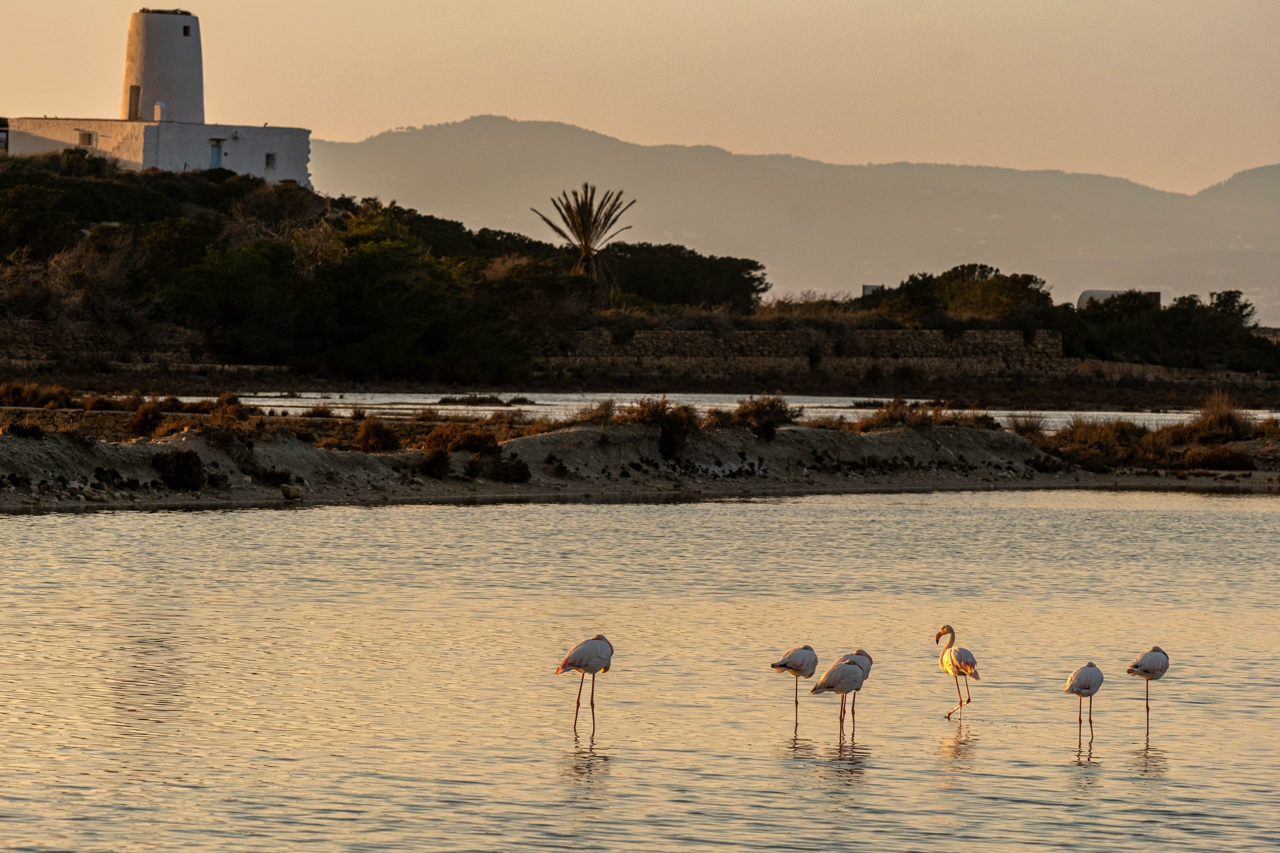 Formentera a la tardor
