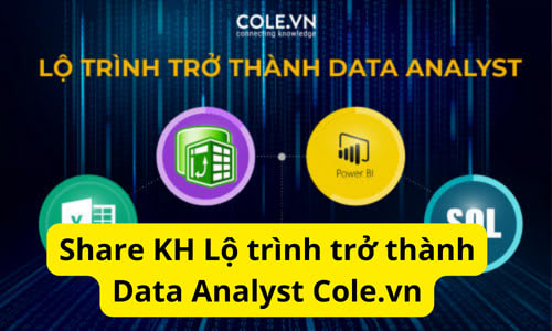 Lộ Trình Trở Thành Data Analyst Theo Chuẩn Quốc Tế Cole.vn