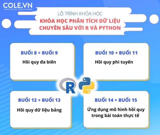 lo trinh tro thanh data analyst theo chuan quoc te cole vn 5