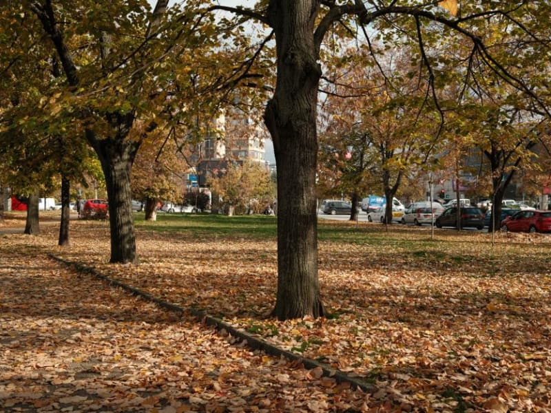 Warm September-like weather expected in Kharkiv next week