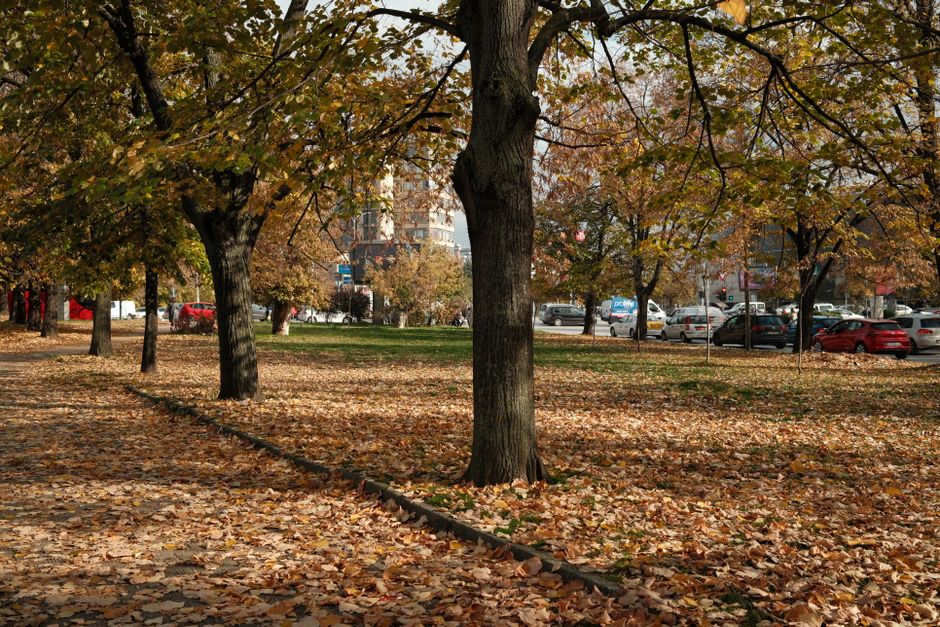В Харькове на следующей неделе — тёплая погода, как в сентябре