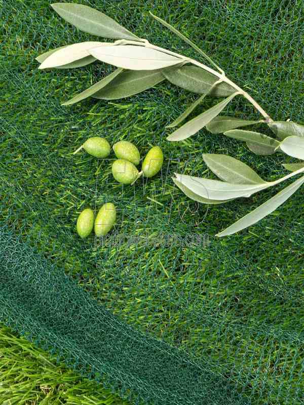 AXEL Rotolo rete raccolta olive antispina 90 gr/mq verde