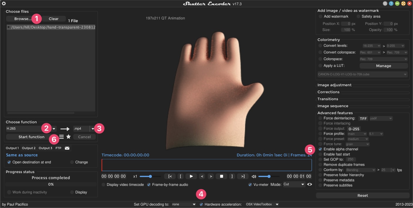 Shutter Encoder export settings for h.265