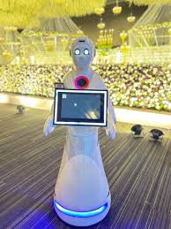Robo Photo Booth Rental