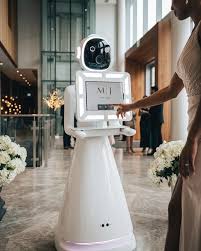 Robo Photo Booth Rental gallery 1