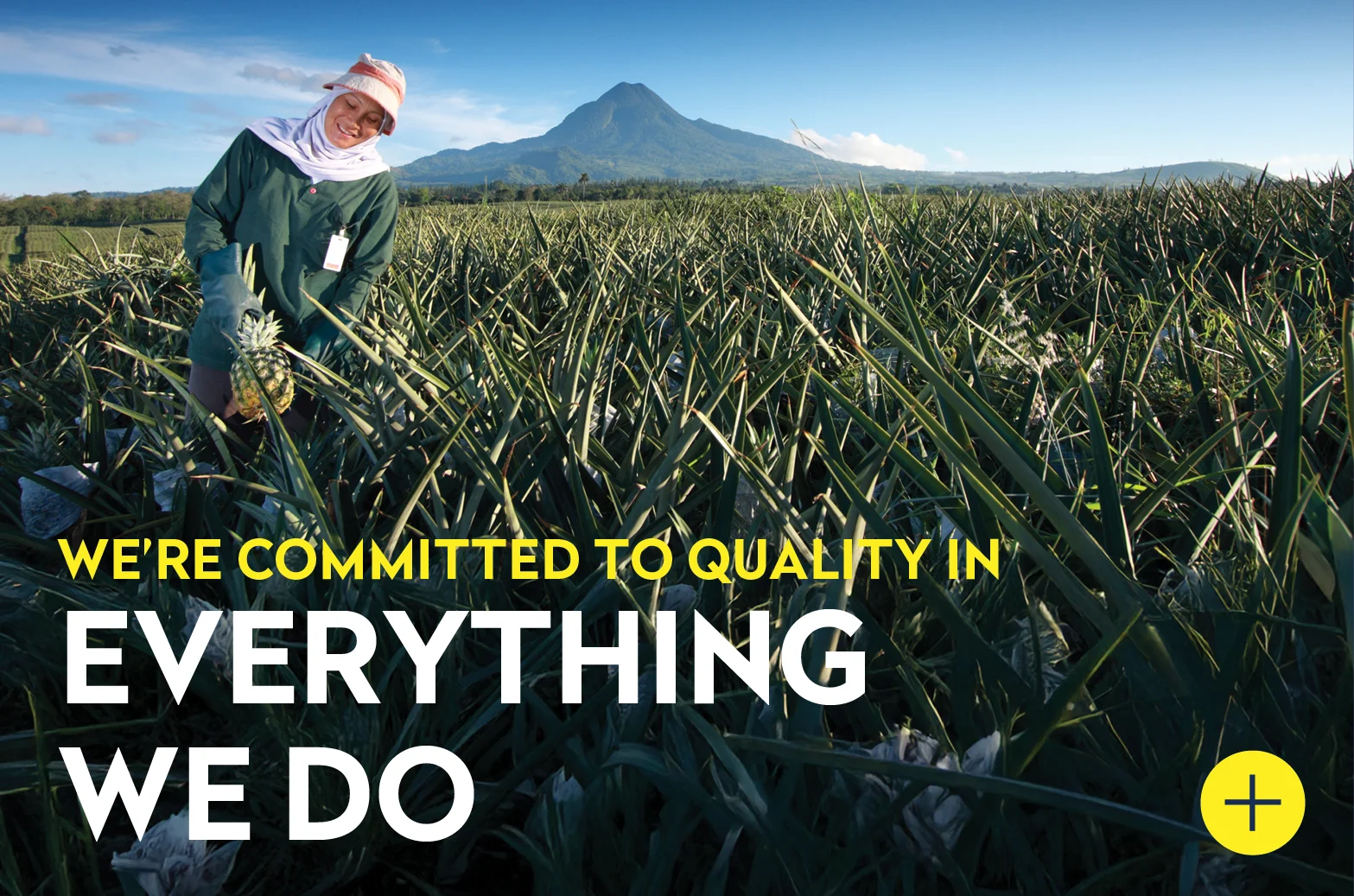 We're Committed to Quality in Everything We Do