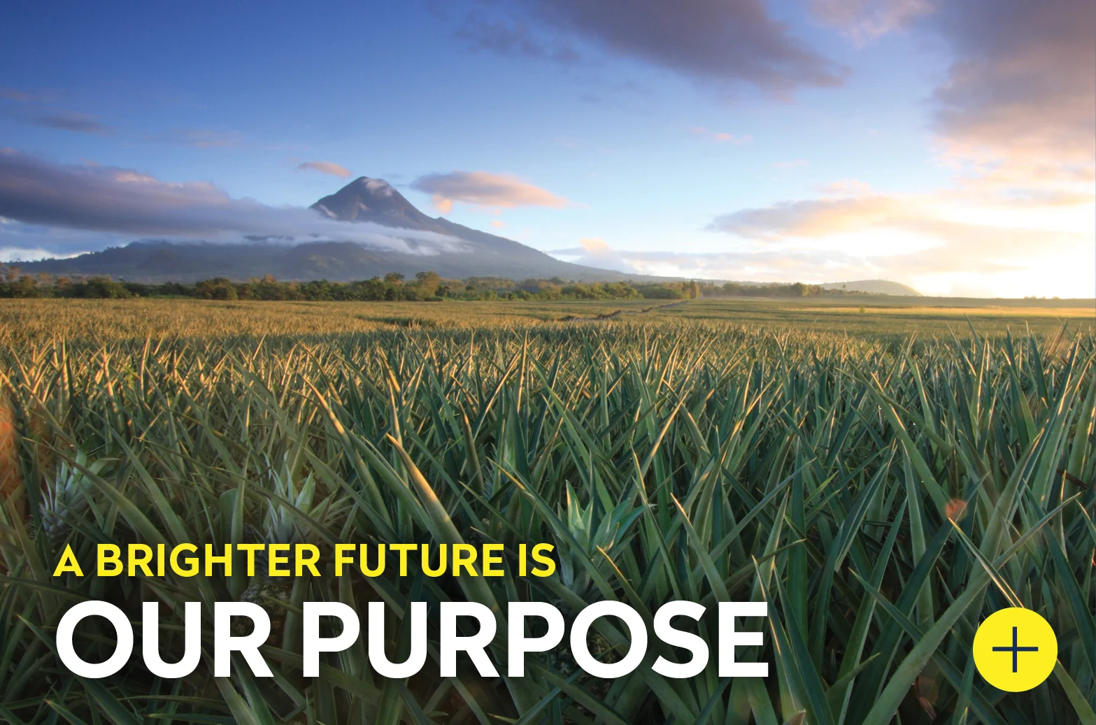 A Brighter Future is Our Purpose