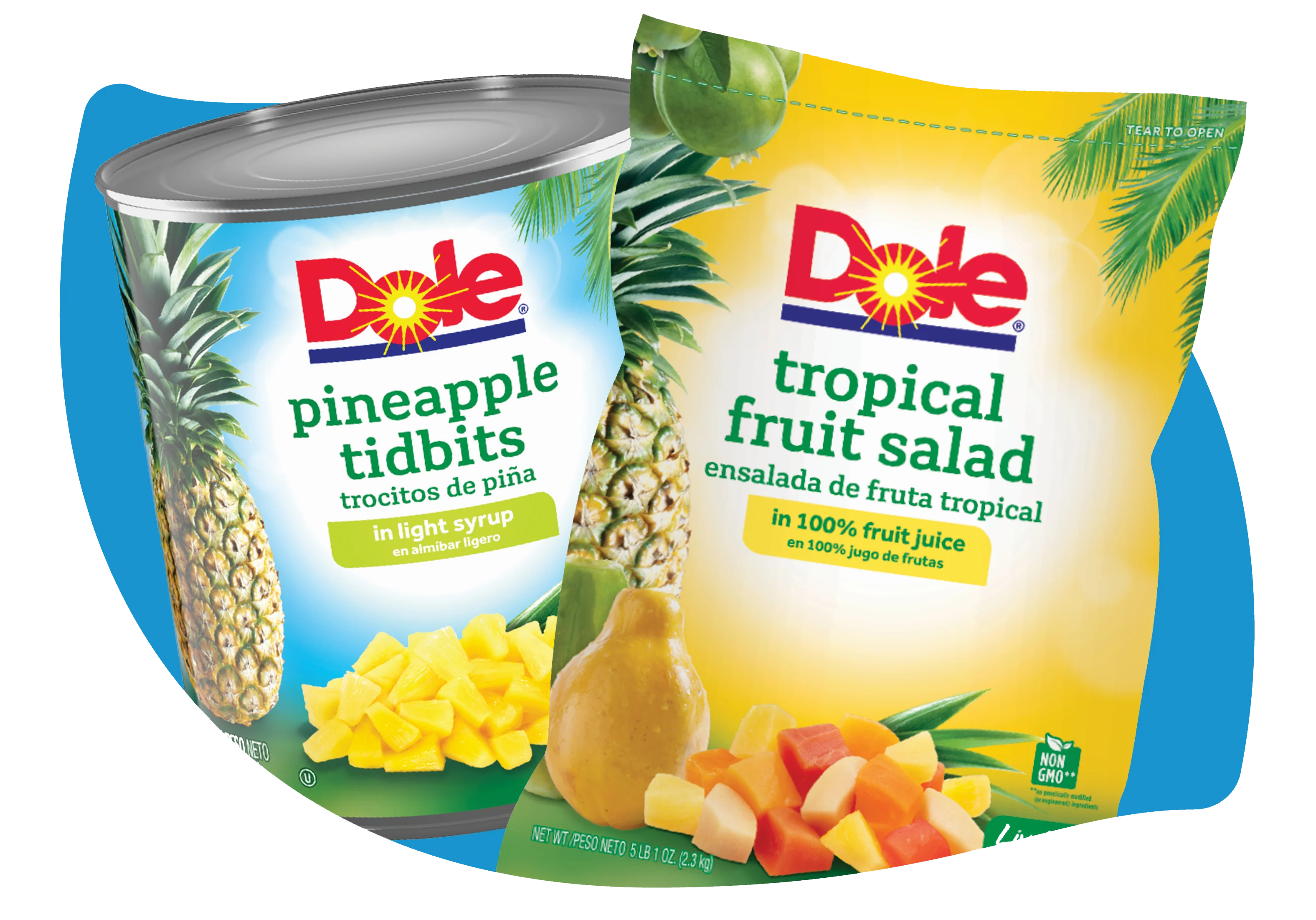 Canned Fruit & Pouch Packs