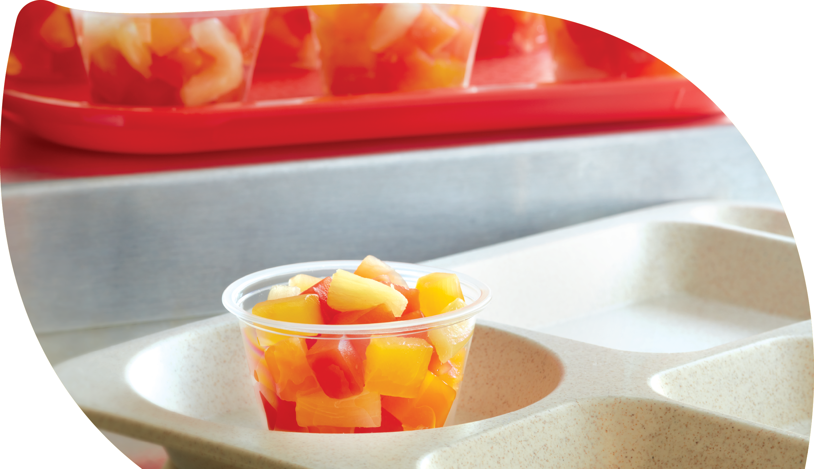 Fruit Tray Image