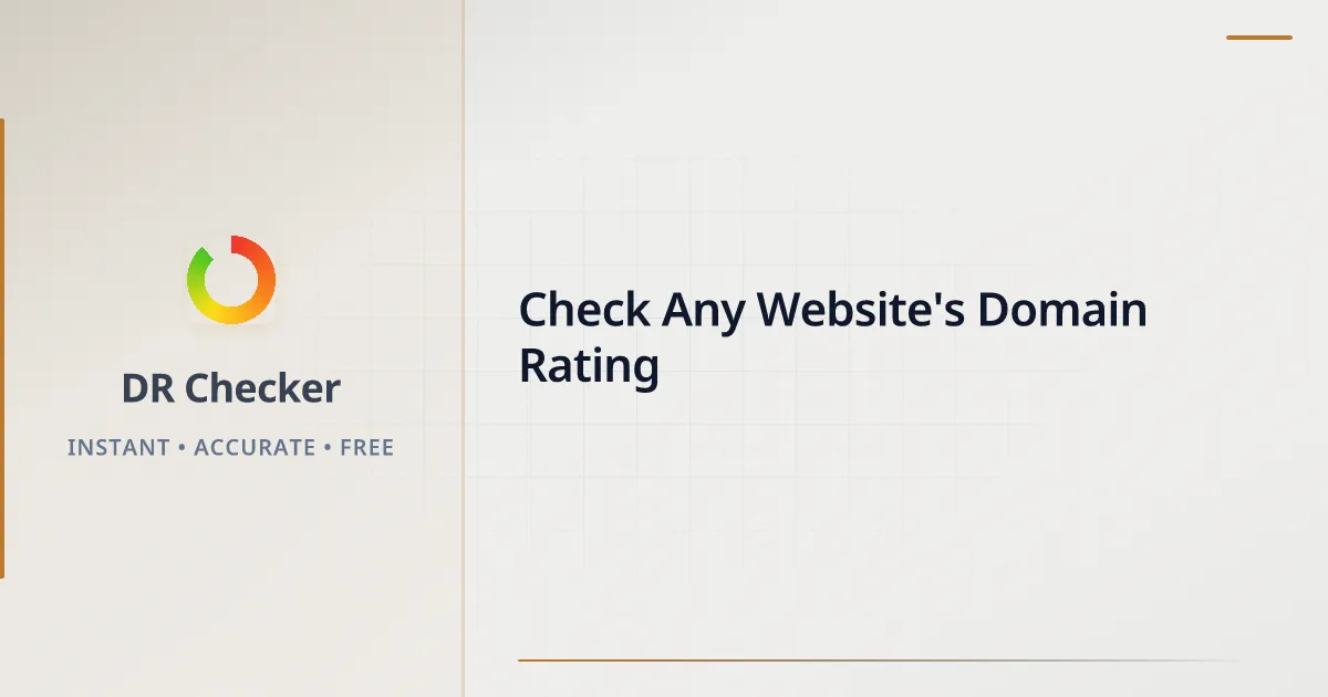 DR Checker