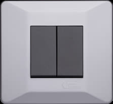 1 Module Cover Plate - Ice Silver (Vivid)