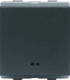 Switch 32A DP with Indicator 2M - Charcoal Grey