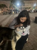 Tehzeeb's profile photo