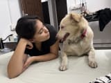 Sukhmani's profile photo
