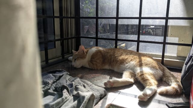 Injila's home photo 1