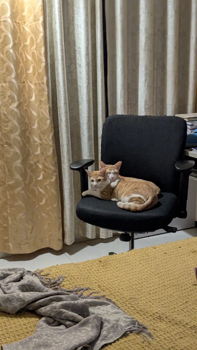 Injila's home photo 2