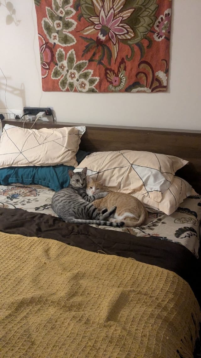 Injila's home photo 4