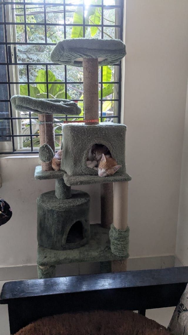 Injila's home photo 5