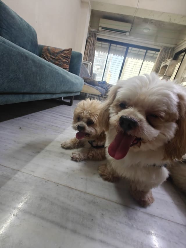 Karnna's home photo 3