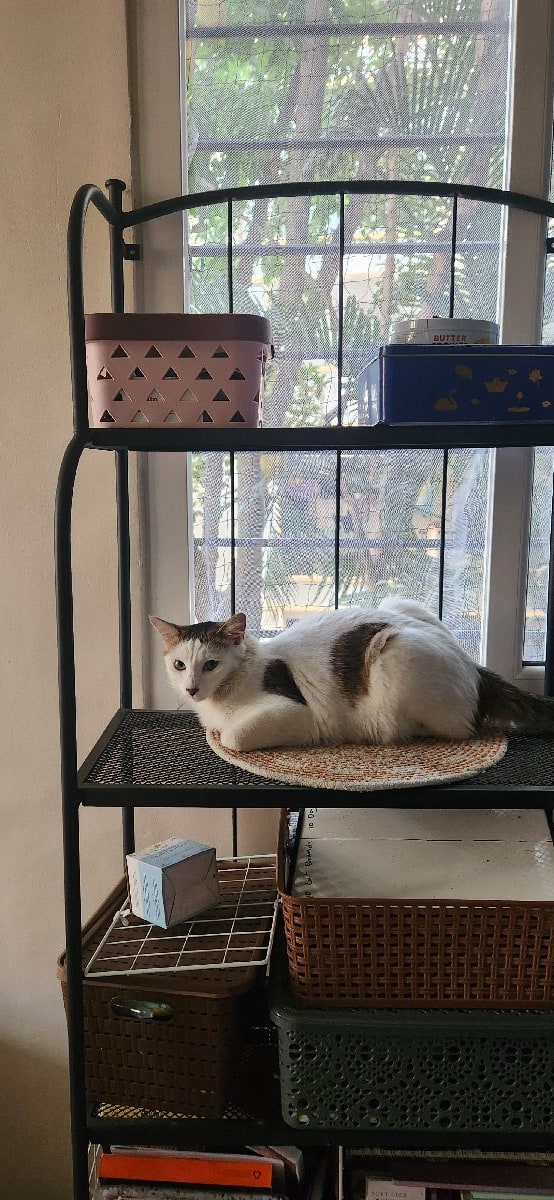 Heena's home photo 5