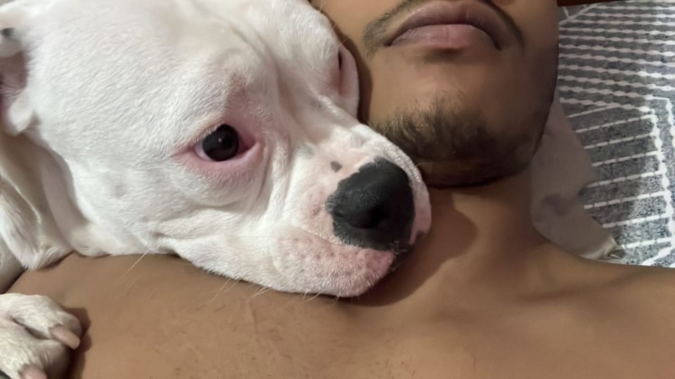 Sup pup