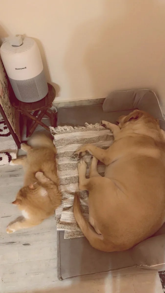 Best friends forever 💗