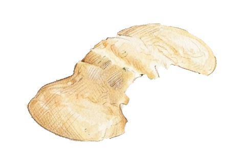 Hollandaise Fleck