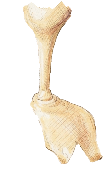 Strahl