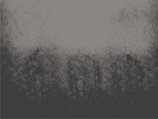 "I started to lose my ability to code": Developers grapple with the real cost of AI programming tools