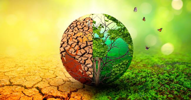 The paper that explained why every living thing on Earth exists was rejected by 15 journals before anyone took it seriously &mdash; and the idea it contained is stranger than most science fiction