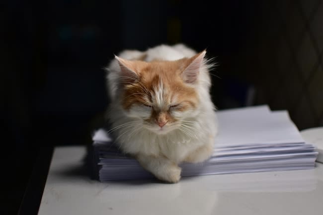 My First AI Skill for My Blog