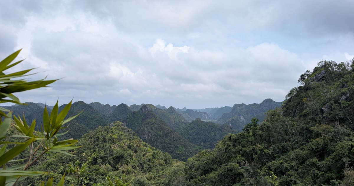 Cát Bà National Park