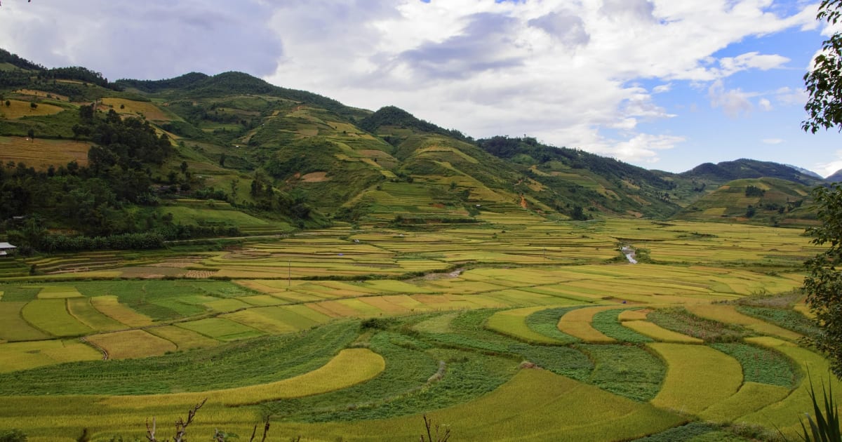Điện Biên
