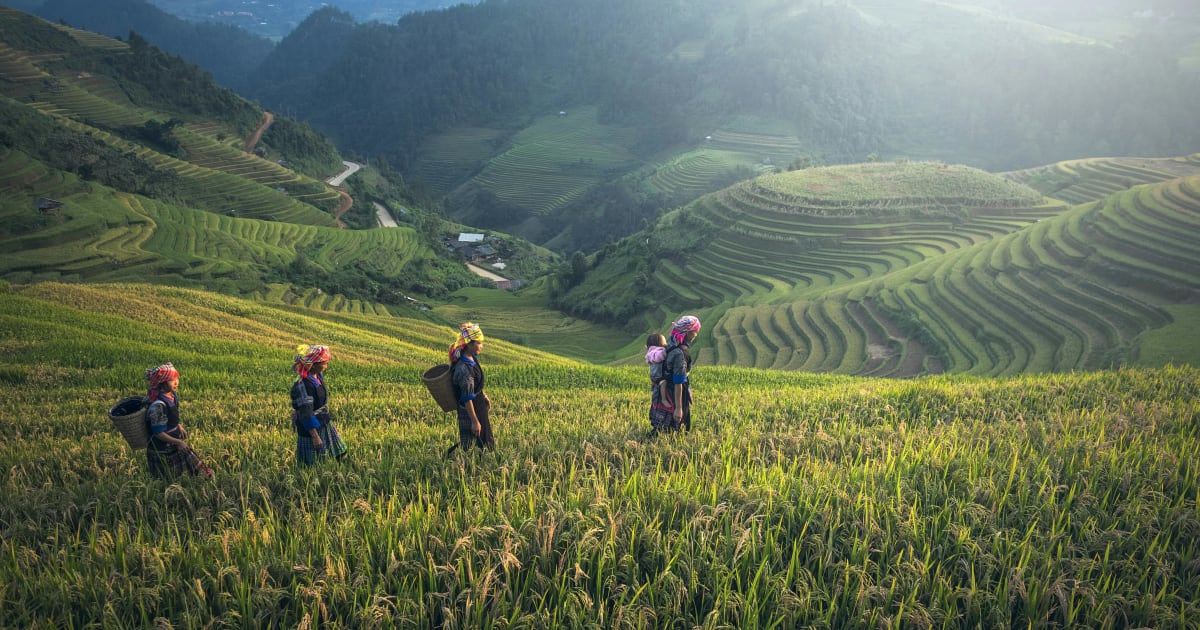 Muong Hoa Valley