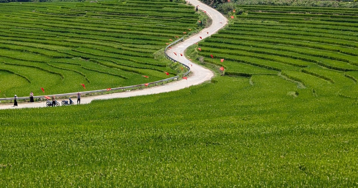 S-Shape Rice Terraces