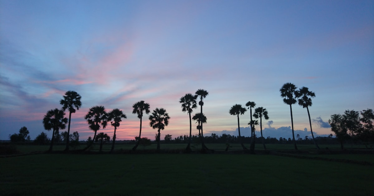 Vĩnh Trung Fields