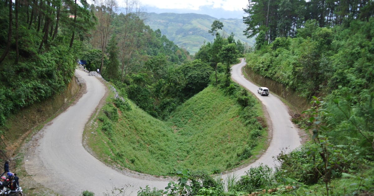 Yên Minh Pine Forest