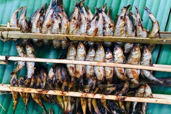 Cá nướng Ba Bể