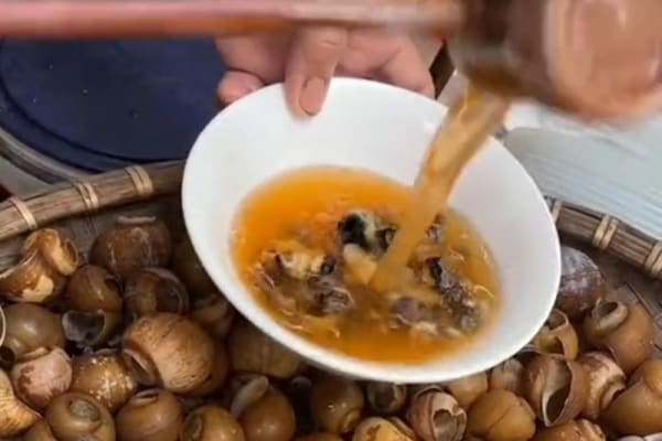 Bún ốc nguội