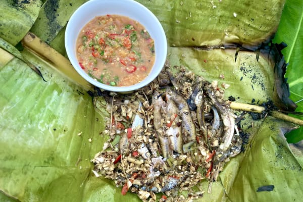 Cá bống vùi tro