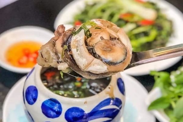 Mắt cá ngừ