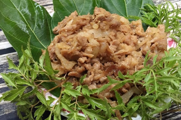 Nem nướng Hữu Lũng
