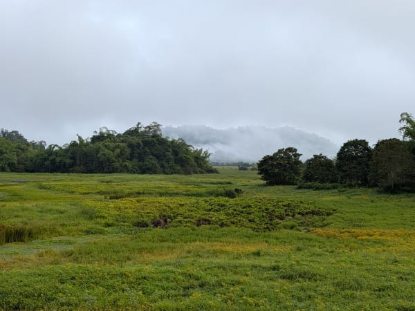 Bàu Sấu (Crocodile Lake) 9