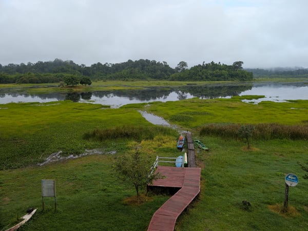 Bàu Sấu (Crocodile Lake) 4